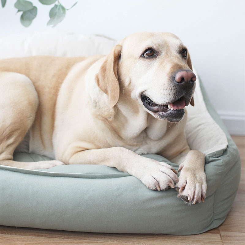 CozyDen 4-Season Washable Dog Kennel