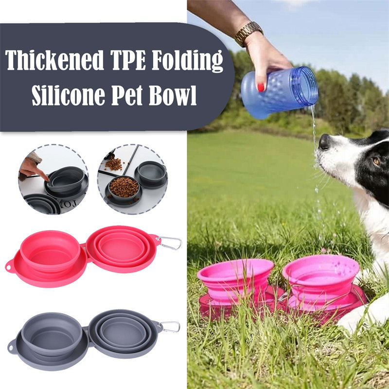 FlexiFeast Foldable Double Pet Bowl