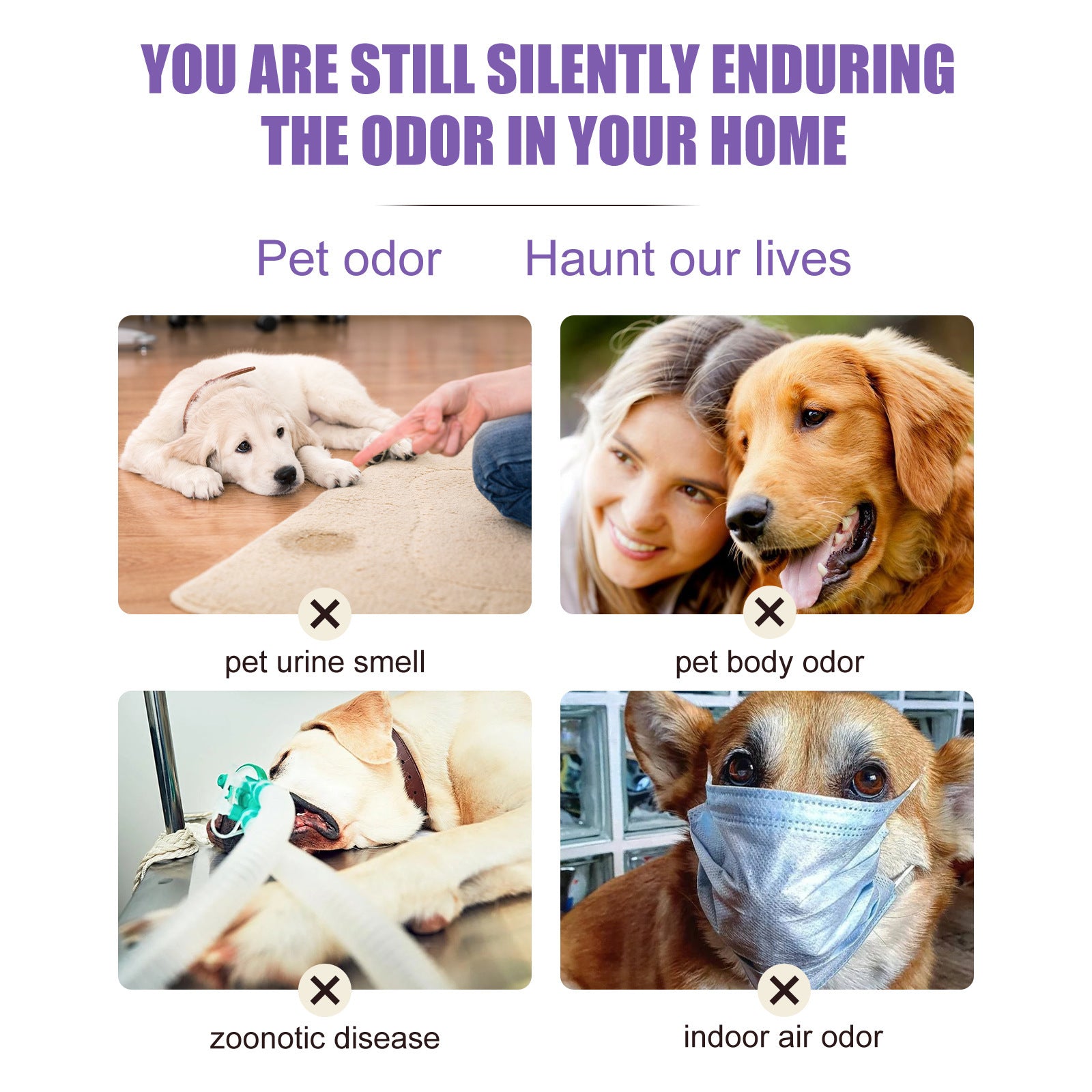 Soothing Pet Deodorant Spray
