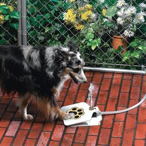 PawSplash Outdoor Dog Water Fountain