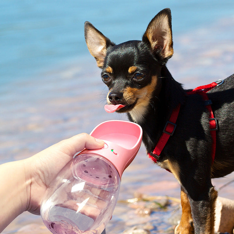 3-in-1 Portable Dog Water Bottle – Hydration On-the-Go