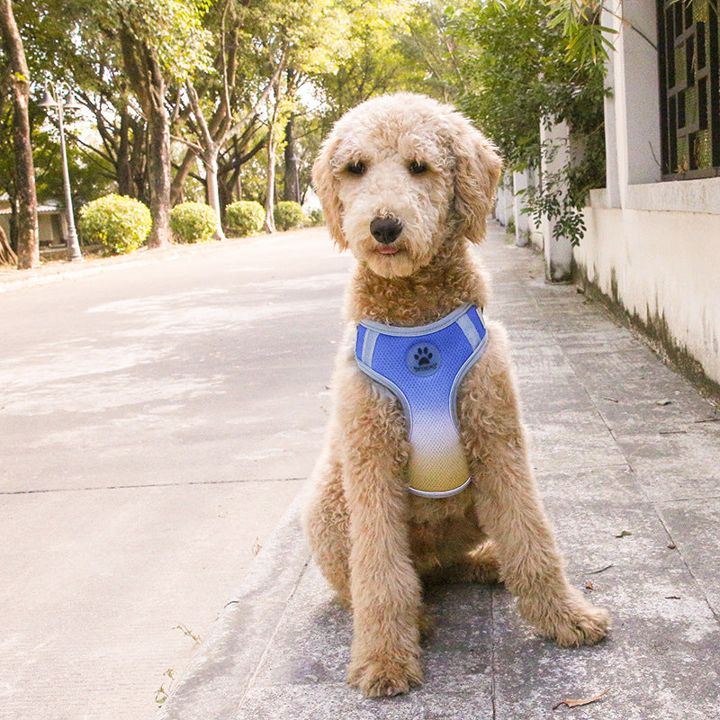 GlowStride Reflective Gradient Dog Harness