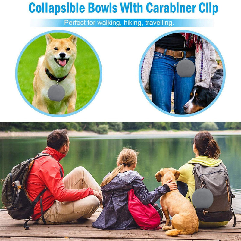 FlexiFeast Foldable Double Pet Bowl