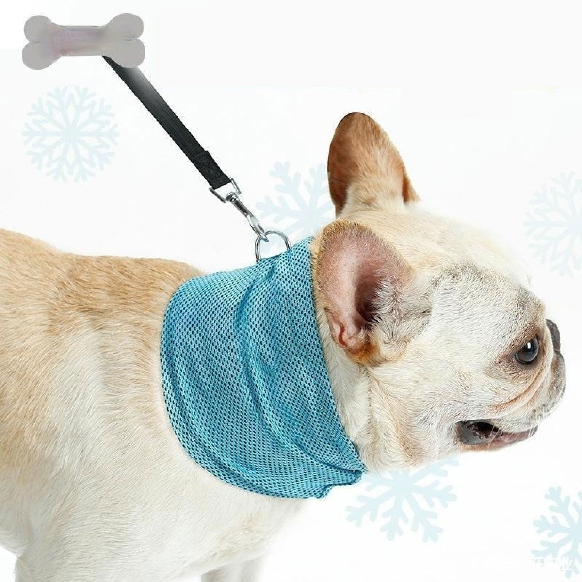 Cooling Dog Collar