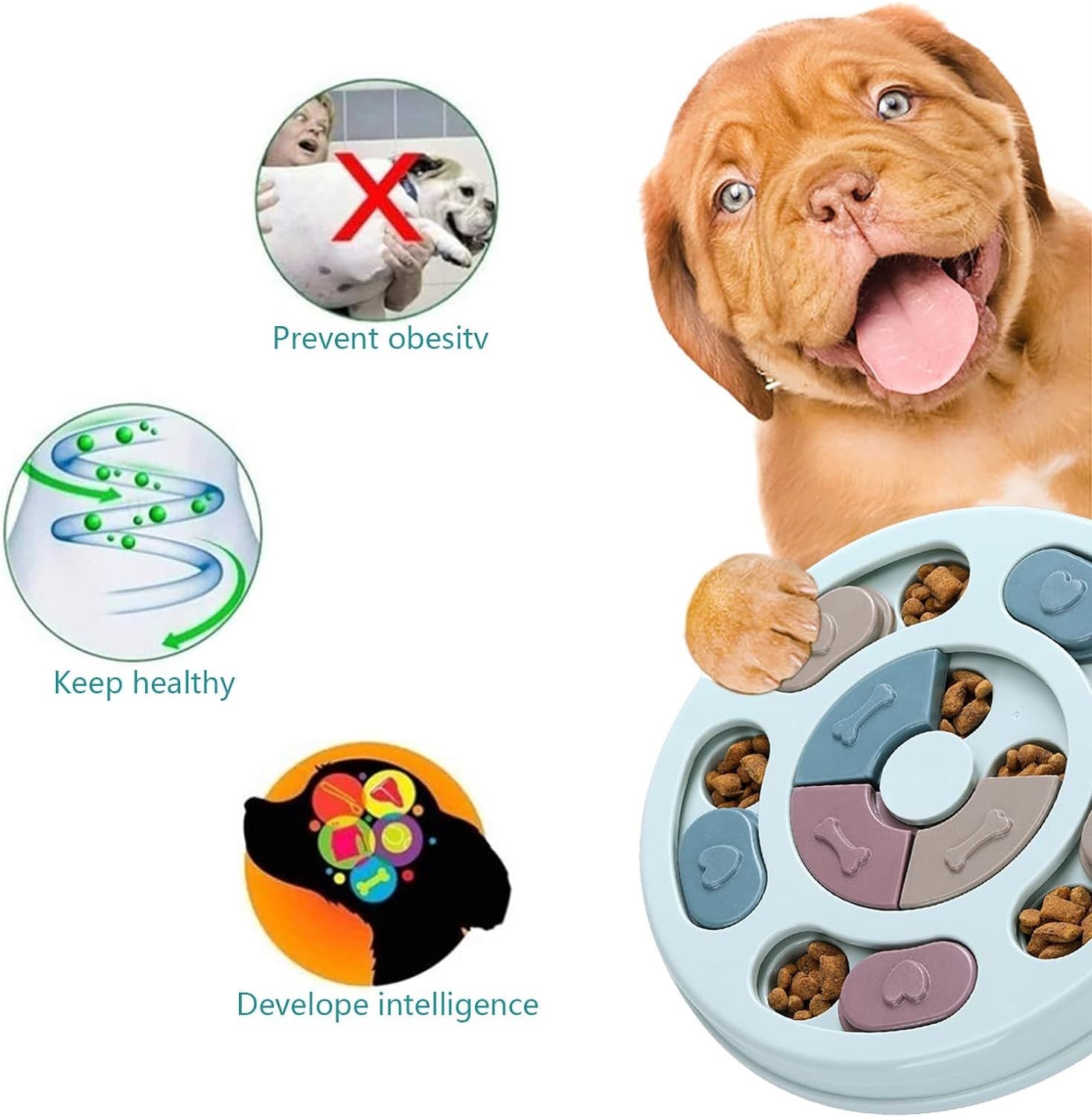 BrainBoost Dog Puzzle Feeder