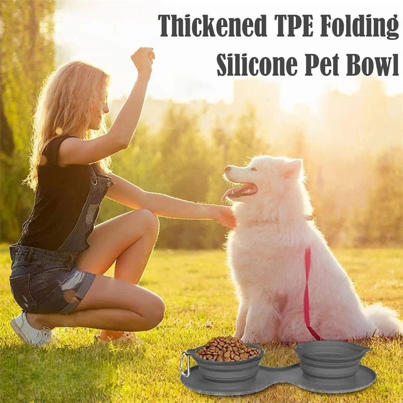 FlexiFeast Foldable Double Pet Bowl