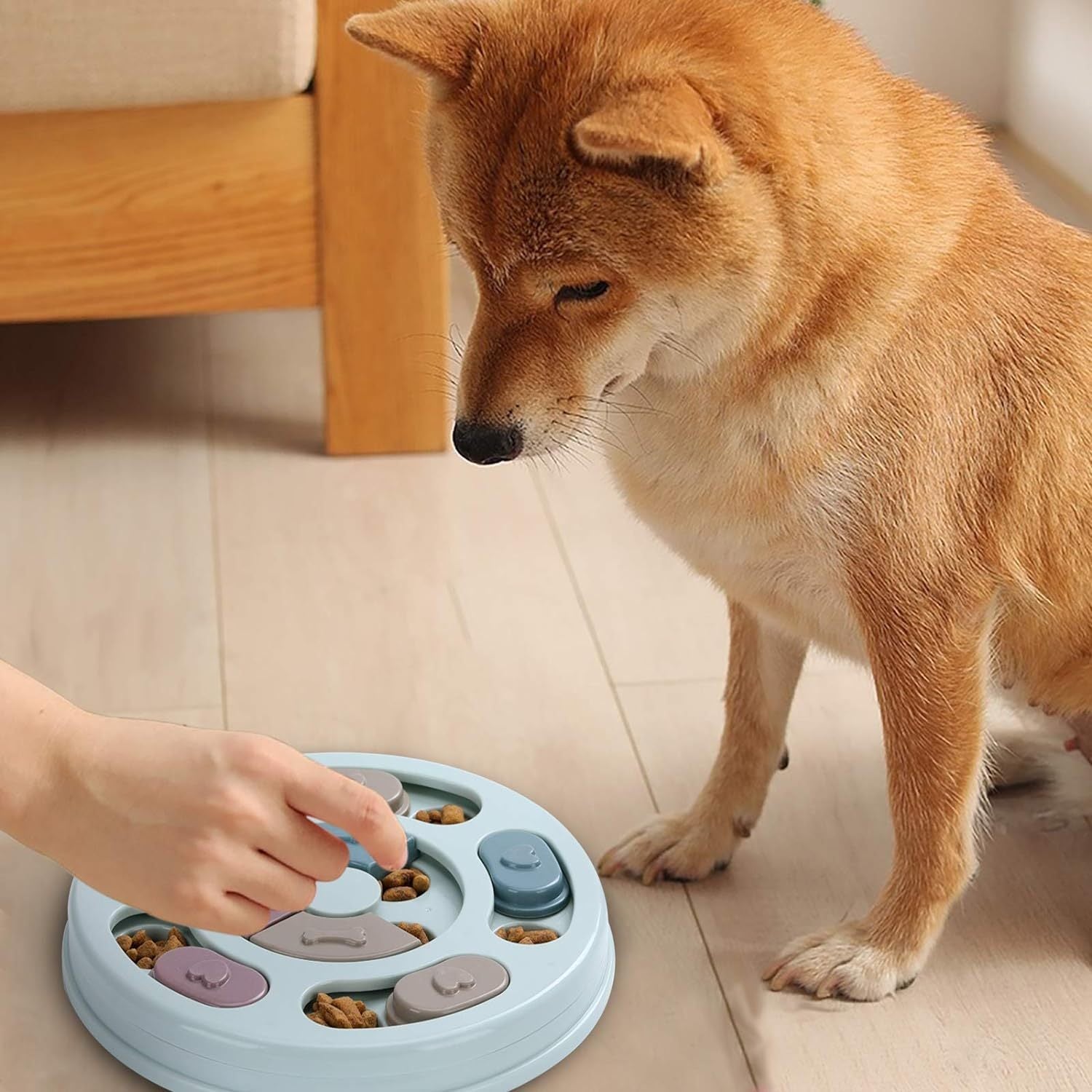 BrainBoost Dog Puzzle Feeder
