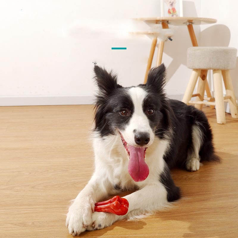 Durable Chew & Molar Stick Toy