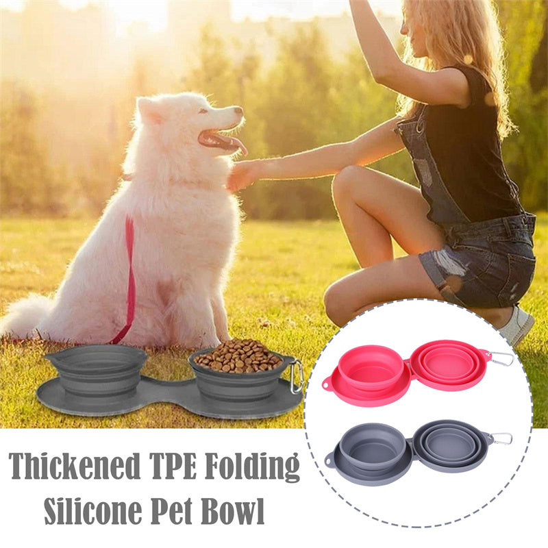 FlexiFeast Foldable Double Pet Bowl
